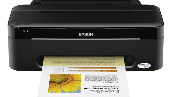 Epson Stylus T13