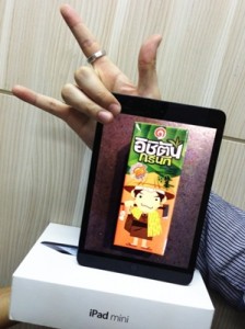 ichitan iPad mini
